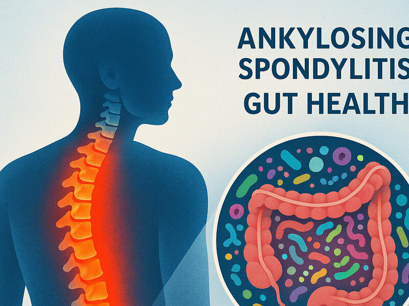 The Link Between Ankylosing Spondylitis and Gut Health: What the Science Says hero image