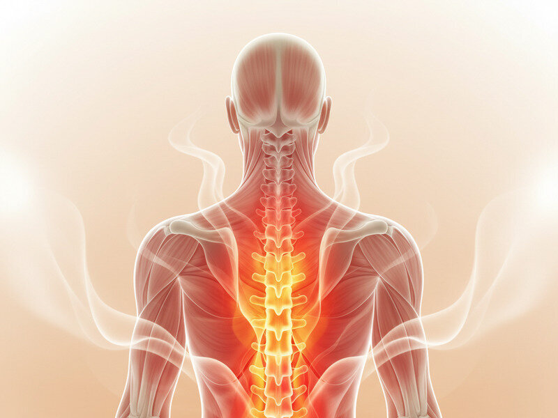 Heat Therapy: When and How to Use It Effectively hero image