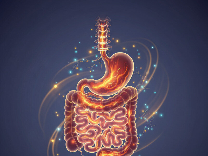 The Digestive Mistakes That Increase Inflammation Without You Noticing hero image