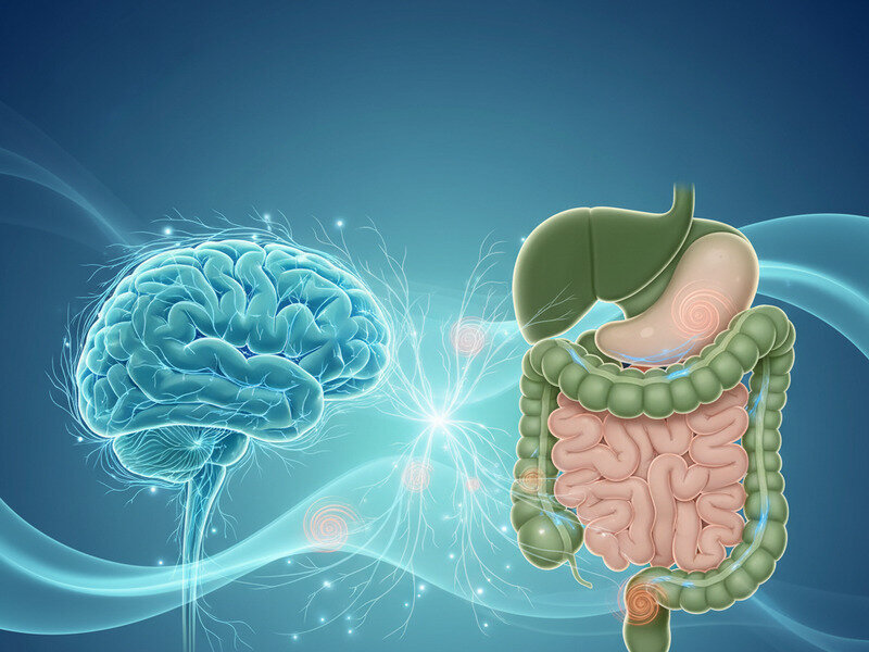 The Gut–Brain Axis: Why Stress Starts in Your Stomach hero image
