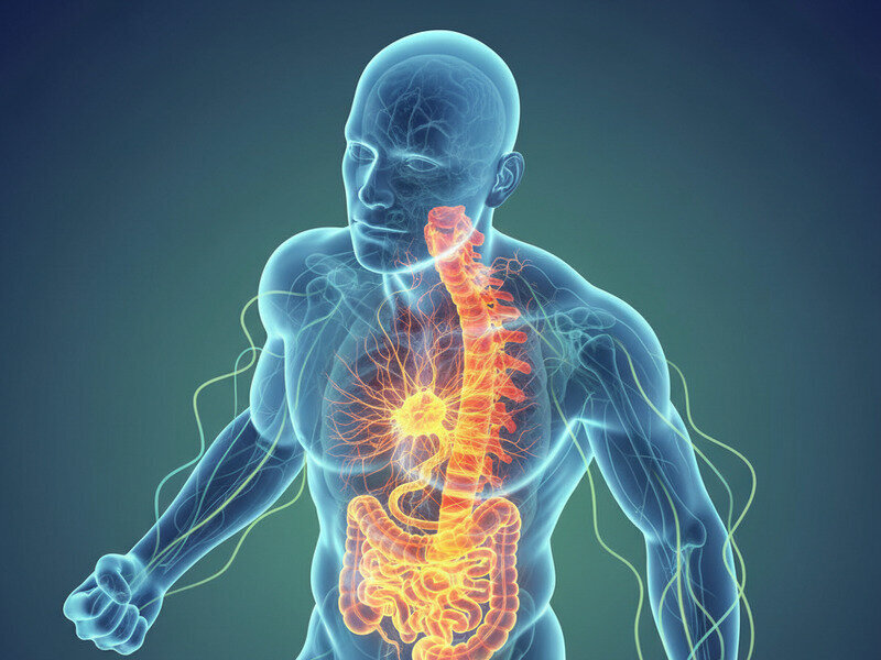 Why an Unstable Gut Can Make Your Whole Body Feel Tense hero image