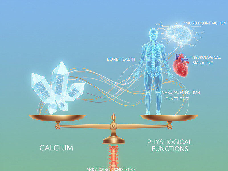 Calcium Balance: Why Too Much or Too Little Both Cause Problems hero image