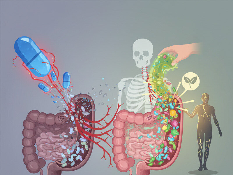 How Antibiotics Disrupt Gut Health—and How to Recover hero image