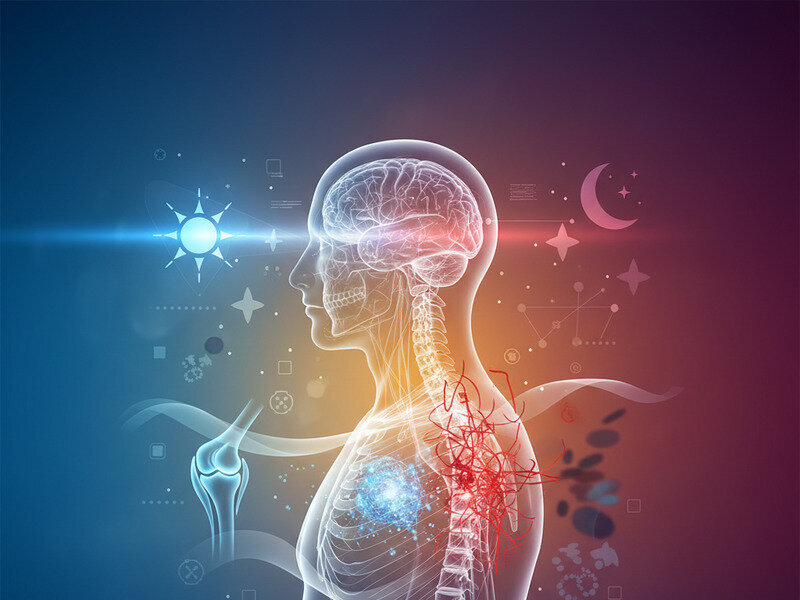 How Light Exposure Throughout the Day Impacts Your Body hero image