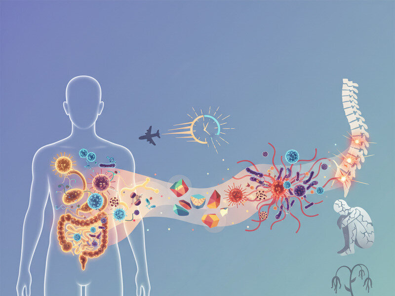 How Travel, Jet Lag, and New Diets Impact Your Microbiome hero image