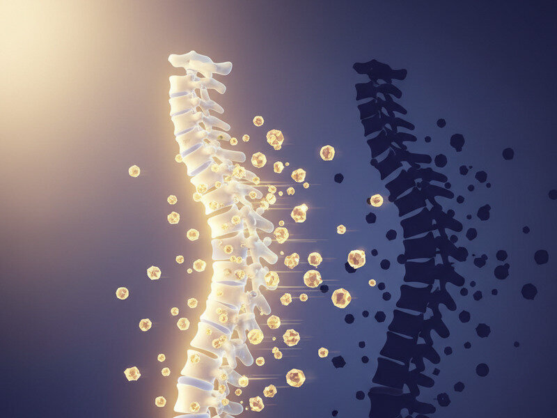 How Vitamin D Supports Stronger Bones and Prevents Spinal Damage hero image