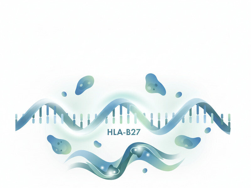 The Role of HLA-B27: Why This Gene Matters More Than You Think hero image