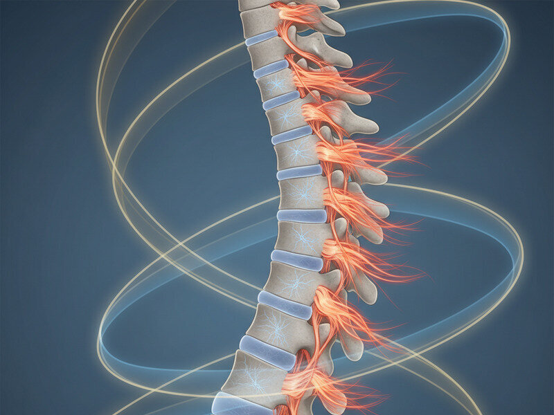 Why the Spine Is a Target: Understanding Enthesitis and Bone Stress hero image