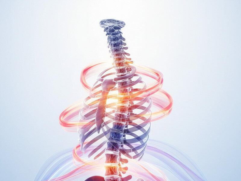 Why Your Thoracic Spine Matters More Than You Think hero image